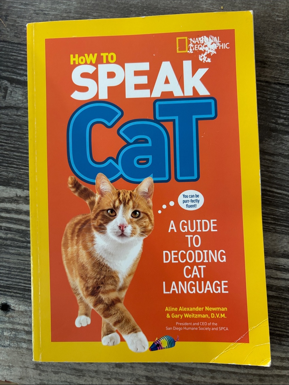 National Geographic Cat Language Guide - Yellow, Orange & Blue Cover